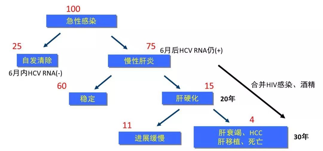 丙肝檢測的弱陽性究竟是不是感染了丙肝？